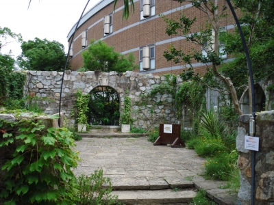 2011宝塚