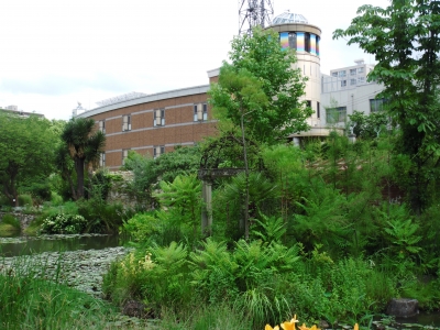 2011宝塚