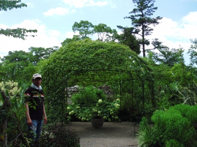 2011宝塚