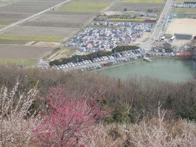 綾部山
