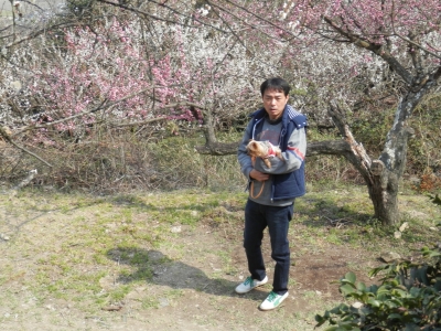 綾部山
