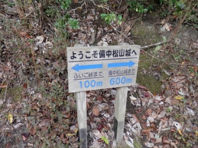 2014高梁