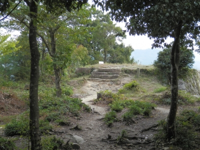 2014高梁