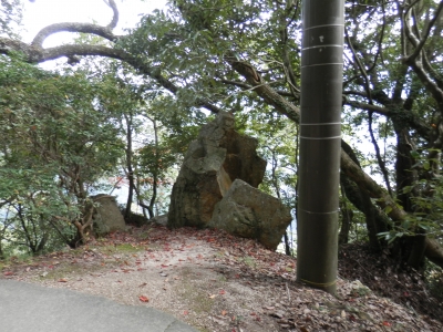 2014高梁