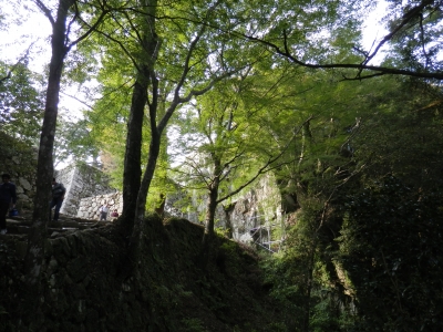 2014高梁