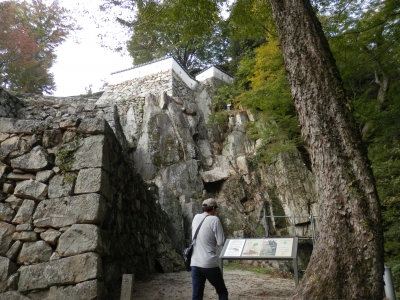 2014高梁