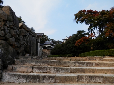 2014高梁