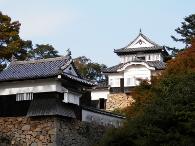 2014高梁