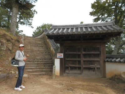 2014高梁