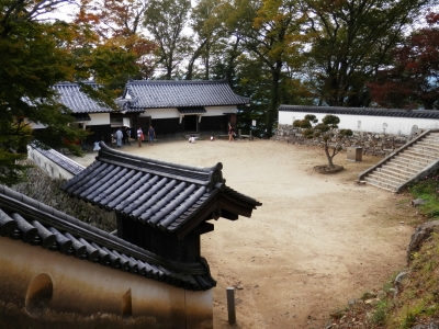 2014高梁