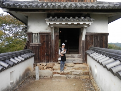 2014高梁
