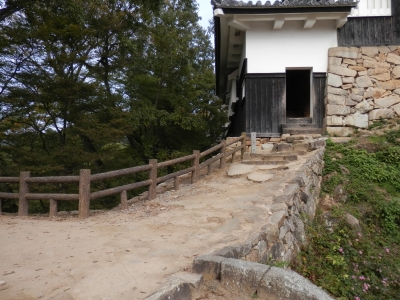2014高梁