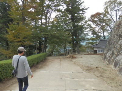 2014高梁