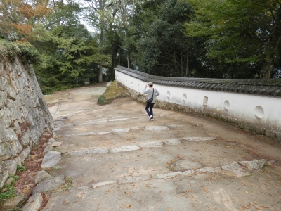 2014高梁