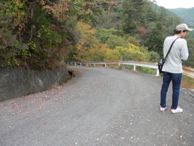 2014高梁
