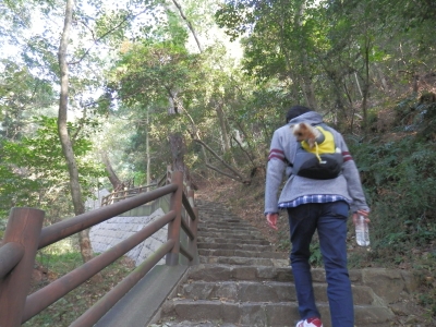 2014-11香川
