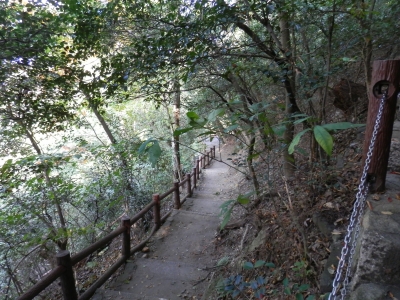 2014-11香川