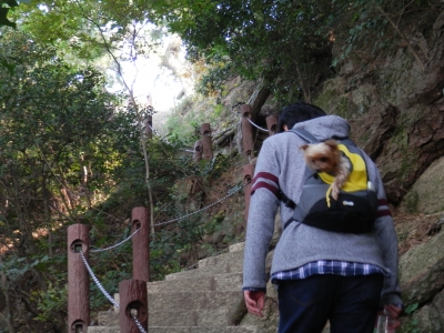 2014-11香川