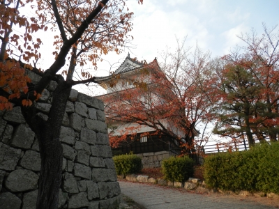 2014-11香川
