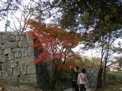 2014-11香川