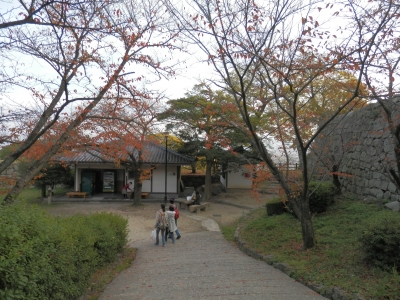 2014-11香川