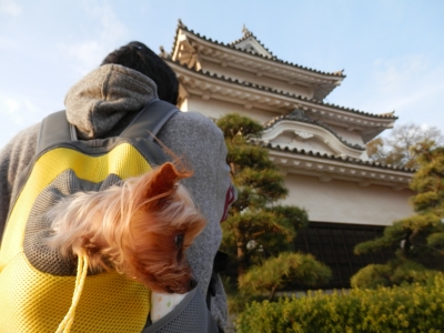 2014-11香川