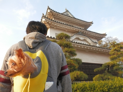 2014-11香川