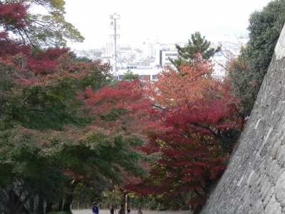 2014-11香川