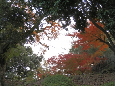 2014-11香川