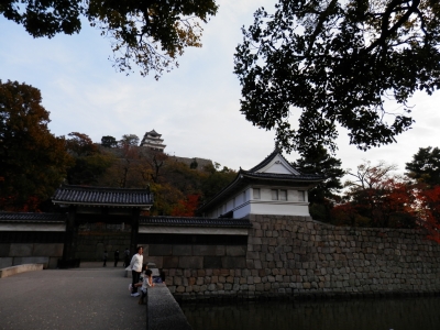 2014-11香川