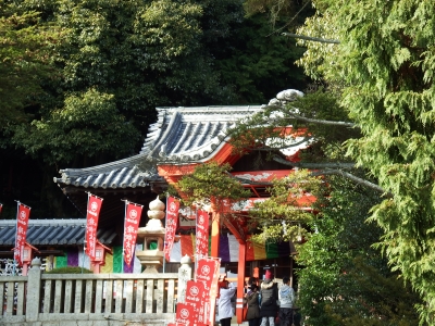 2015-1-3由加山