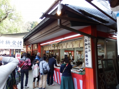 2015-1-3由加山