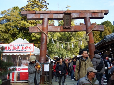 2015-1-3由加山