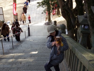 2015-1-3由加山