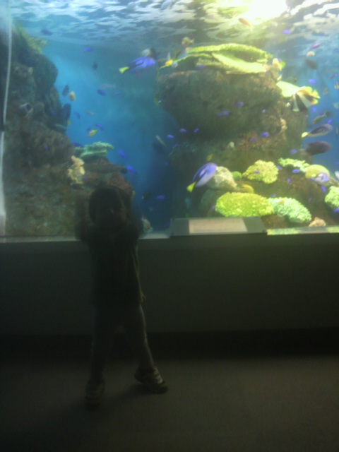 2011102310030000.jpg