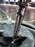 T800 足 脹脛 leg