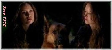 Save TSCC for Season3