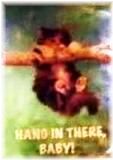 Hang in there baby cat Terminator Sarah Connor Chronicles