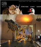 ロサンゼルス郡立 恐竜 自然史博物館