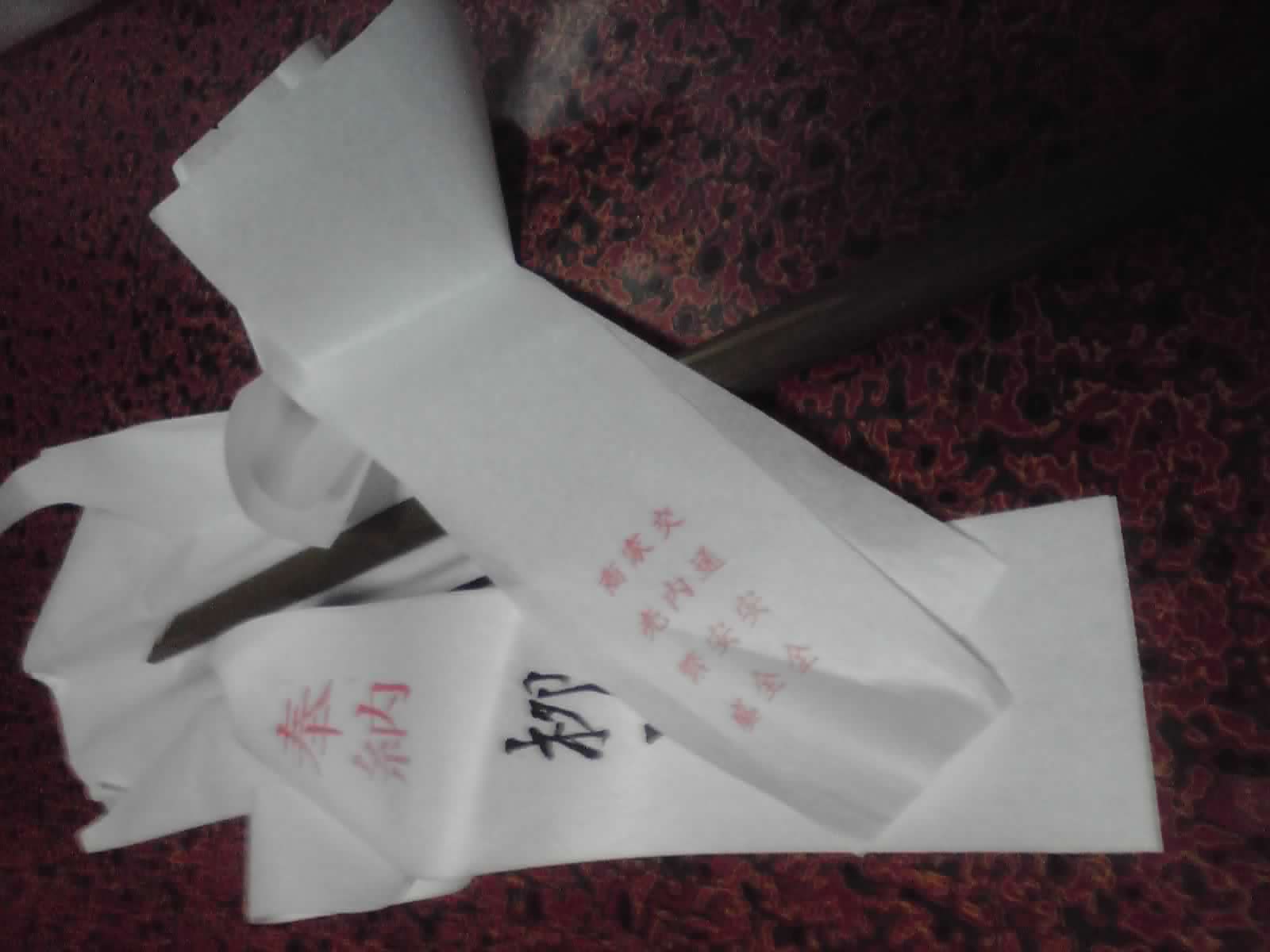 P1000084.JPG