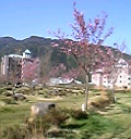 ホテル全景