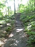 世界遺産・白神山地