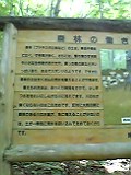 世界遺産・白神山地