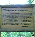 世界遺産・白神山地