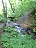 世界遺産・白神山地