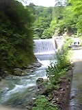 世界遺産・白神山地