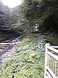 滝のつり橋