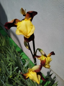 190510