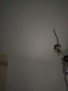 191008