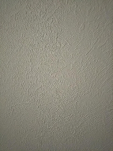 191009